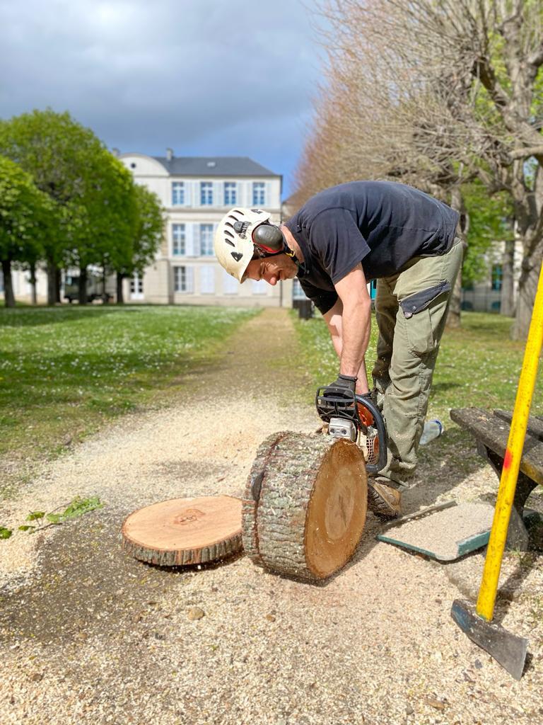 potager dans une serre