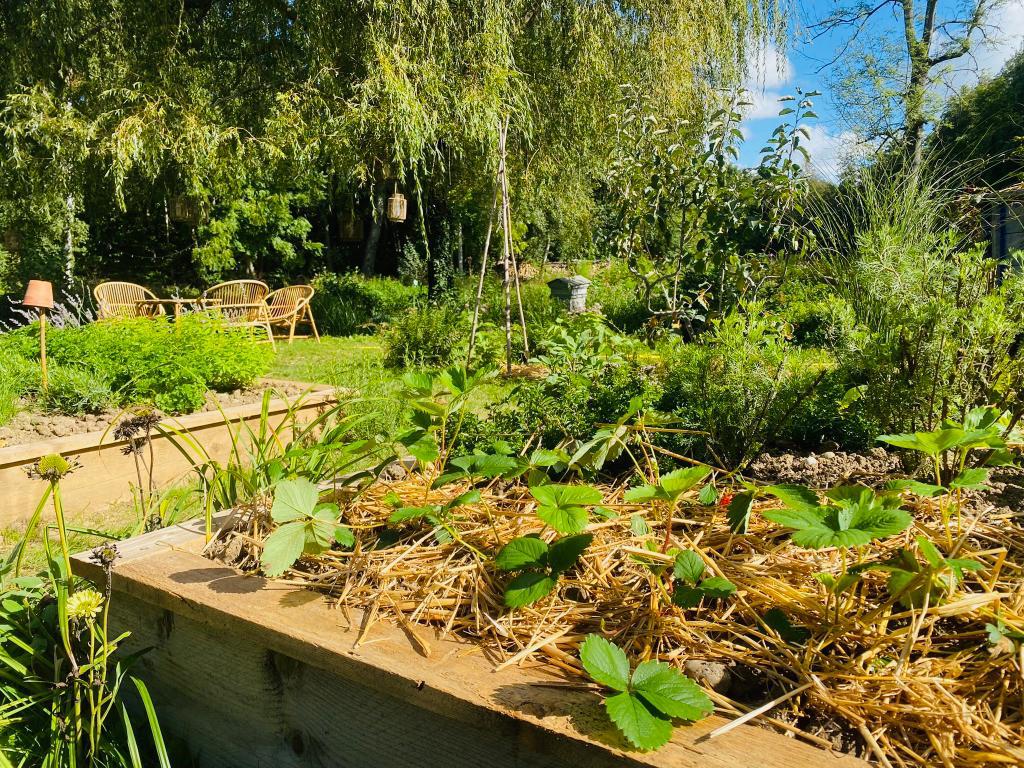 Chaise et table dans jardin