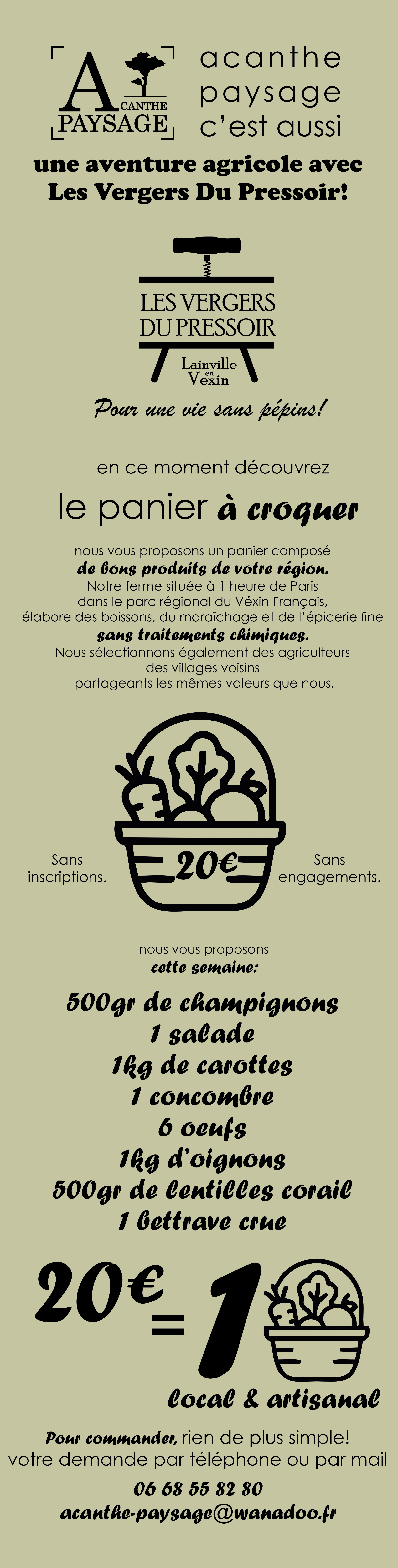 flyer