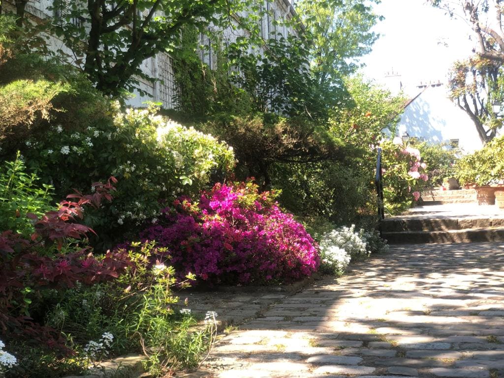 Parterre de fleurs