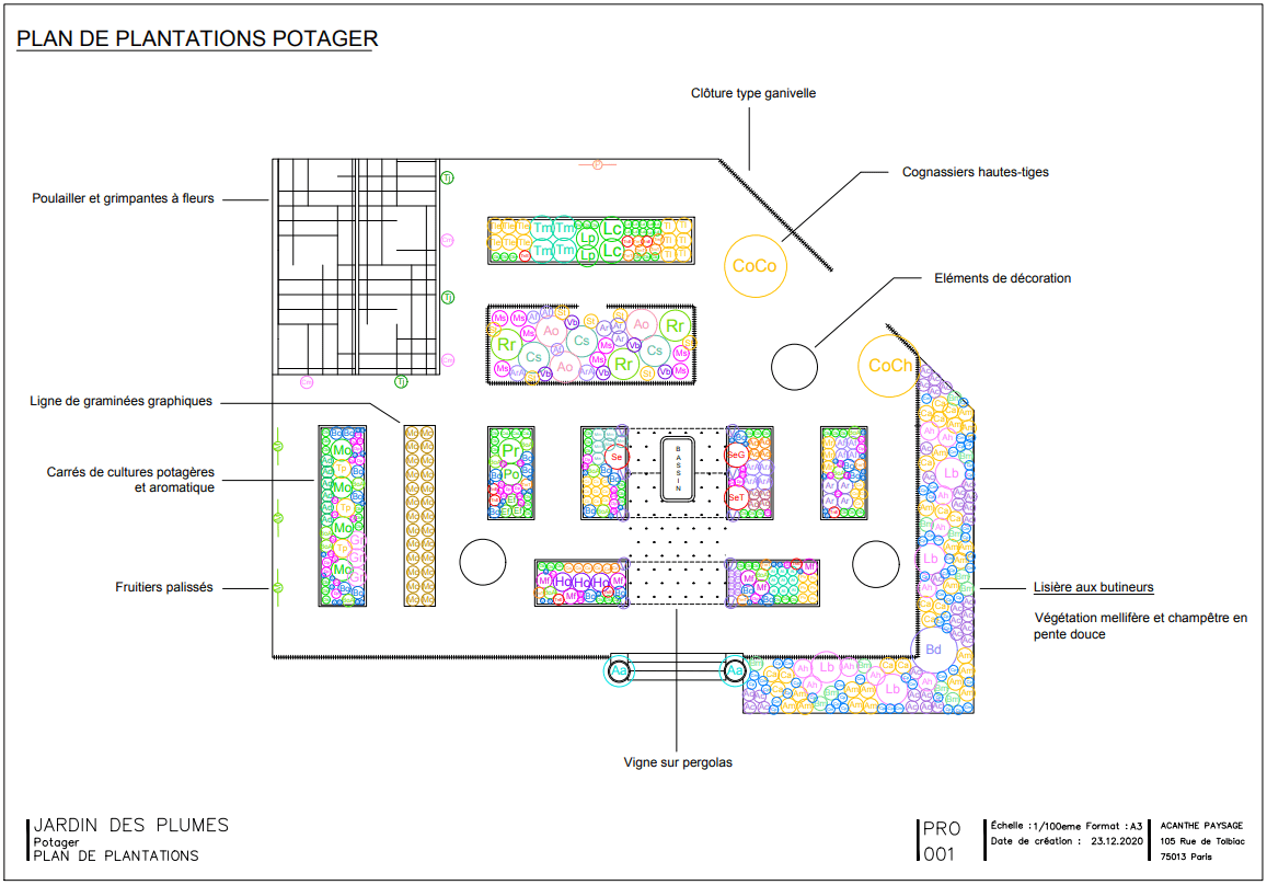 Plan potager 1