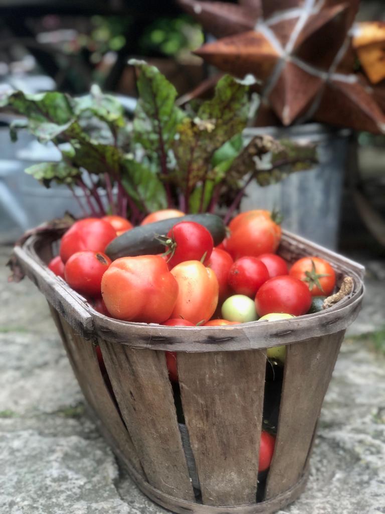 Panier tomate