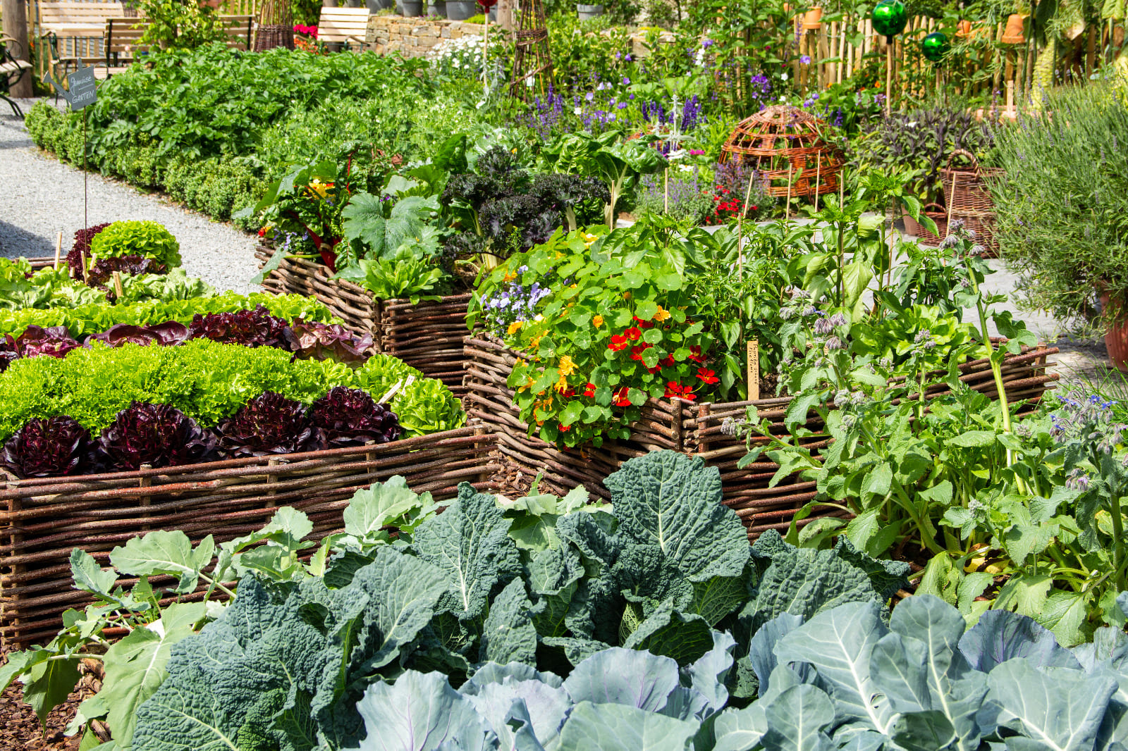 potager dehors