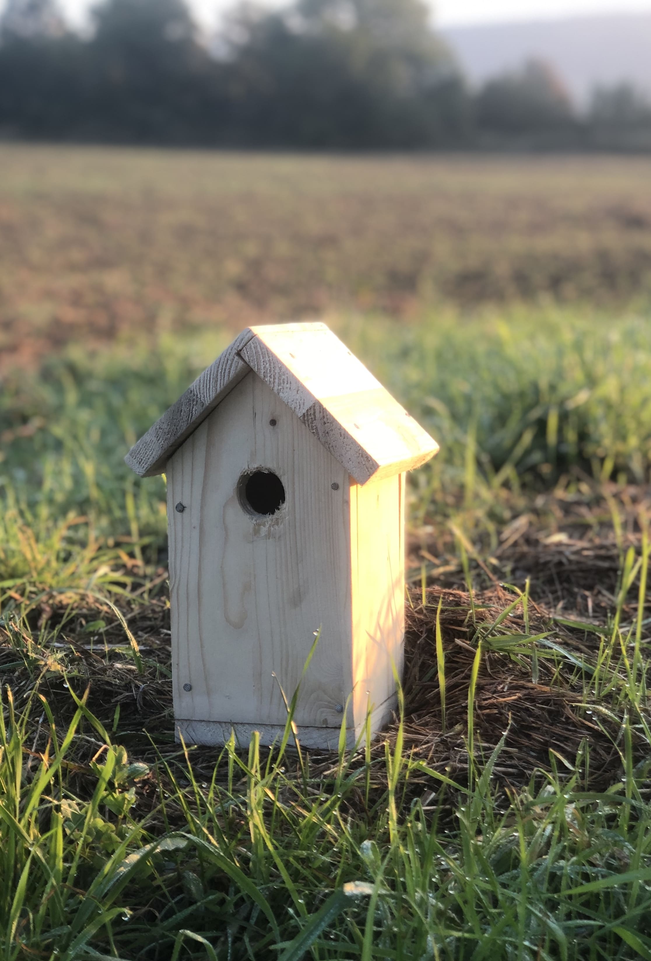 Petite maison en bois