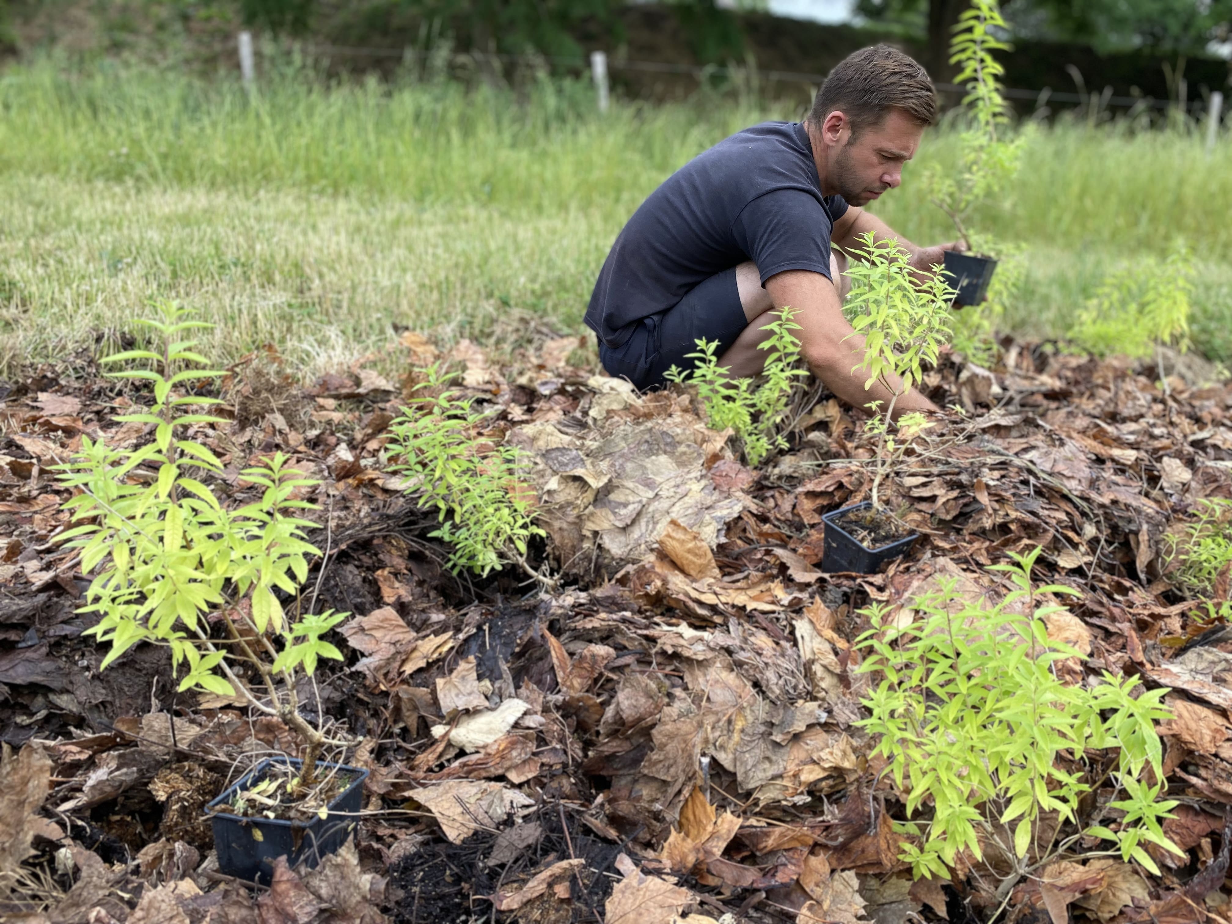 Homme qui plante des pots