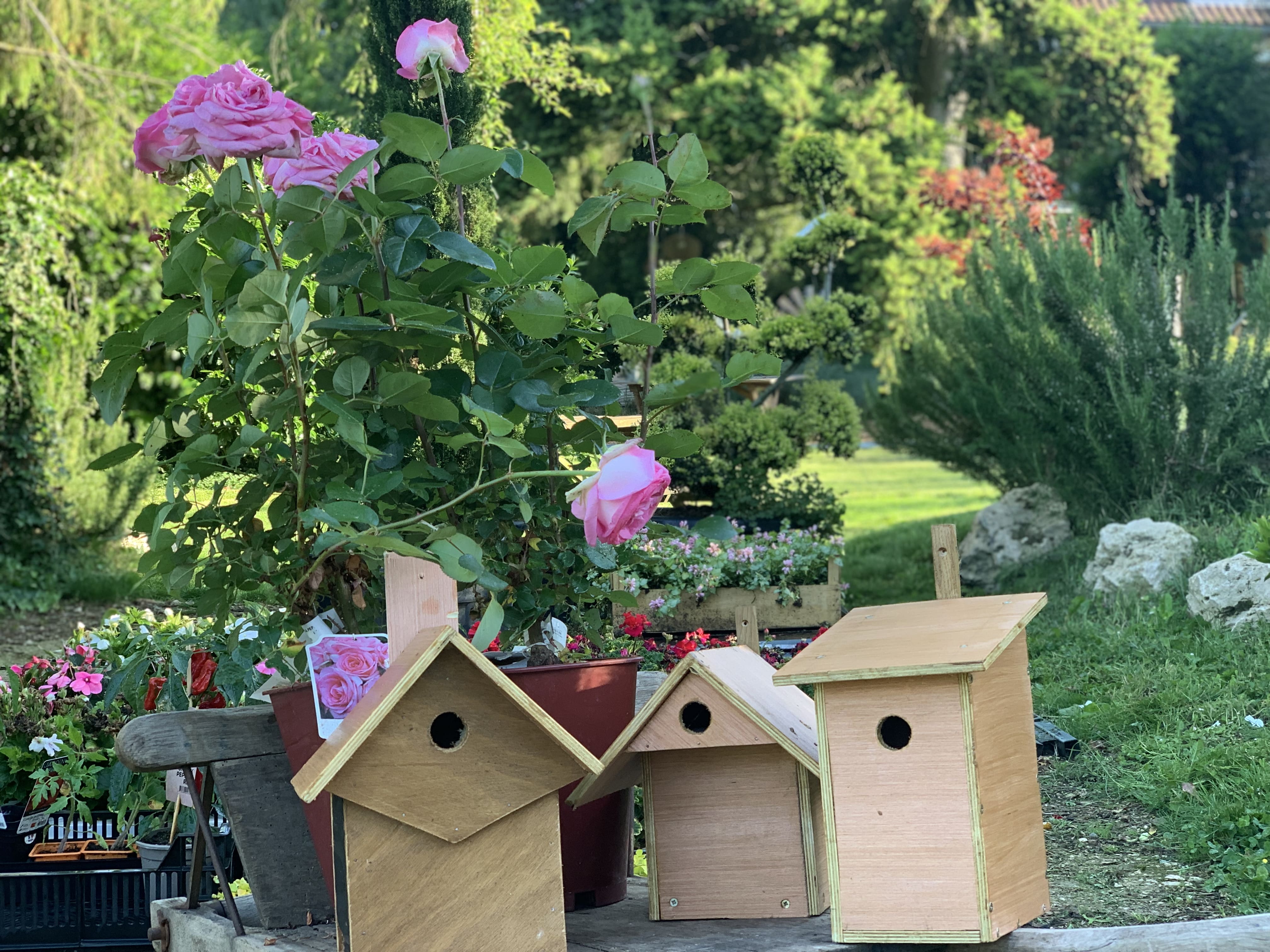 Petites maisons en bois 2